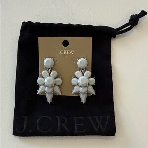 J. Crew Elegant Gray Earrings